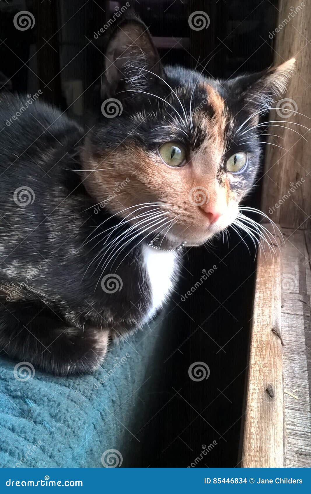 Tricô Roupa Batizado Bebe Meses Masculino Macacão Bebe Premium Detalhe  Trico Listrado Azul Indigo Safine, image size:1067x1690