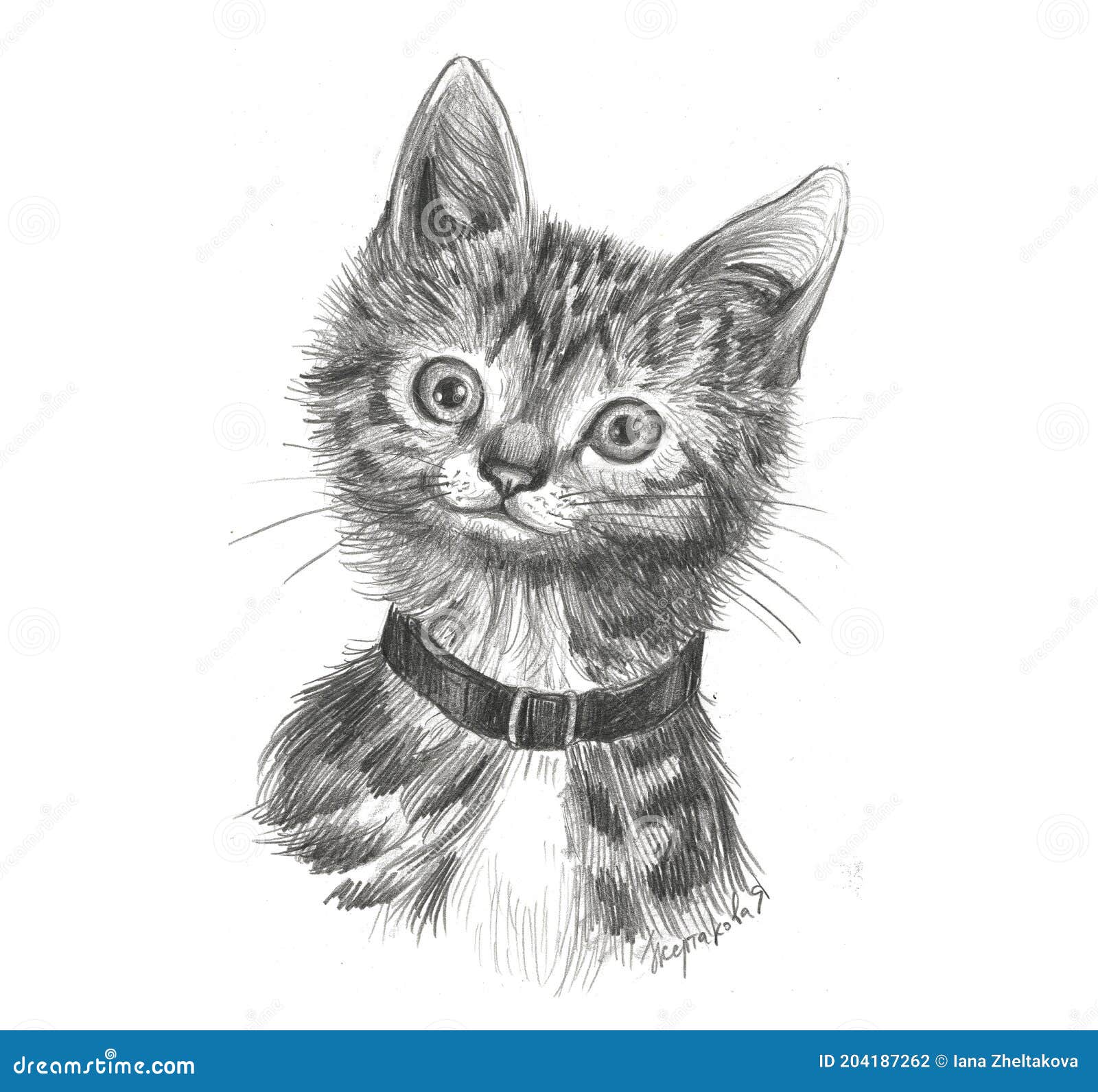 Gato preto silhueta gatinho desenho, gato, amor, animais, folha png