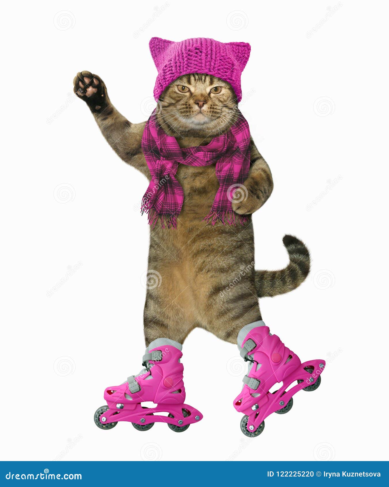 Gato em patins de rolo ilustração stock. Ilustração de roupa 122225220