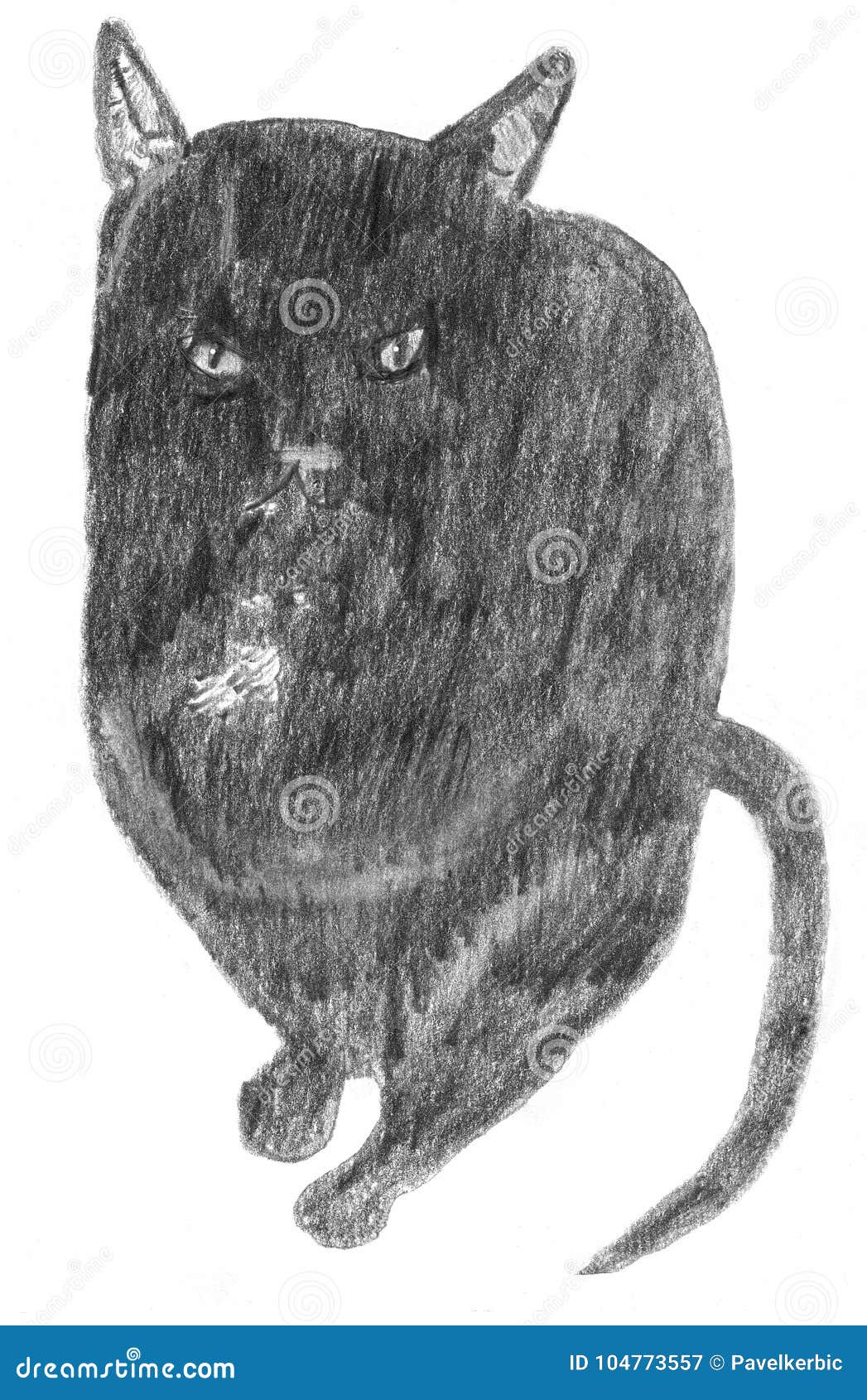 Gato Negro Precioso - Dibujo De Lápiz Ilustración del Vector - Ilustración  de impresionable, plomo: 104773557