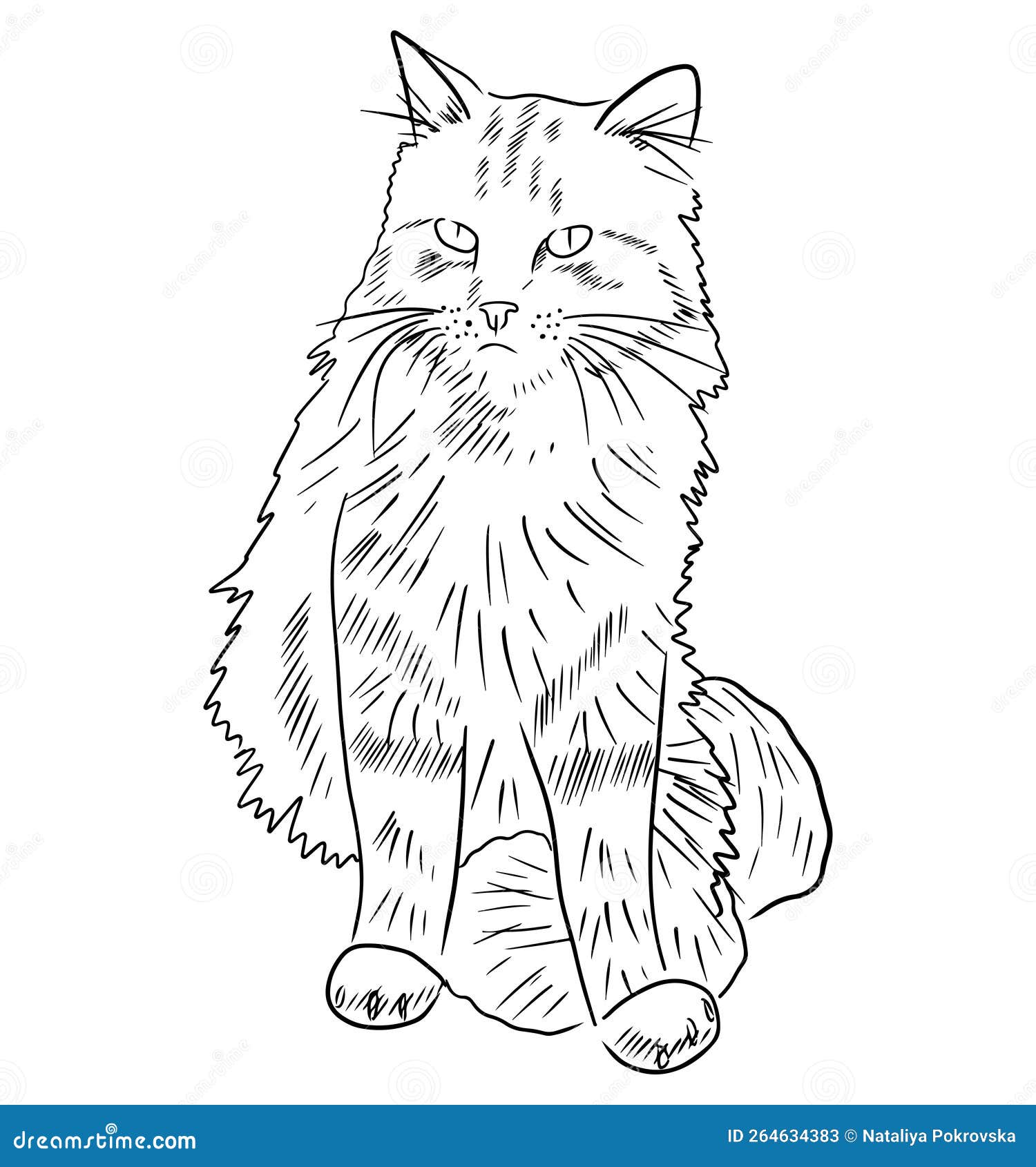 Como desenhar um gato deitado  Desenhos de gatos, Desenhos de animais  realistas, Esboços de animais