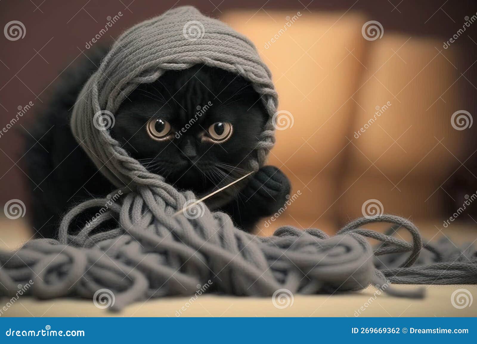 Gato ninja olhos azuis vestido preto