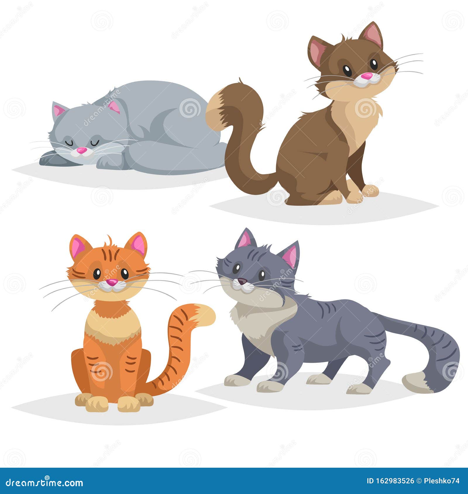Diferentes raças de gatos, bonito animal de estimação, diferentes gatos em  estilo simples de desenho animado.