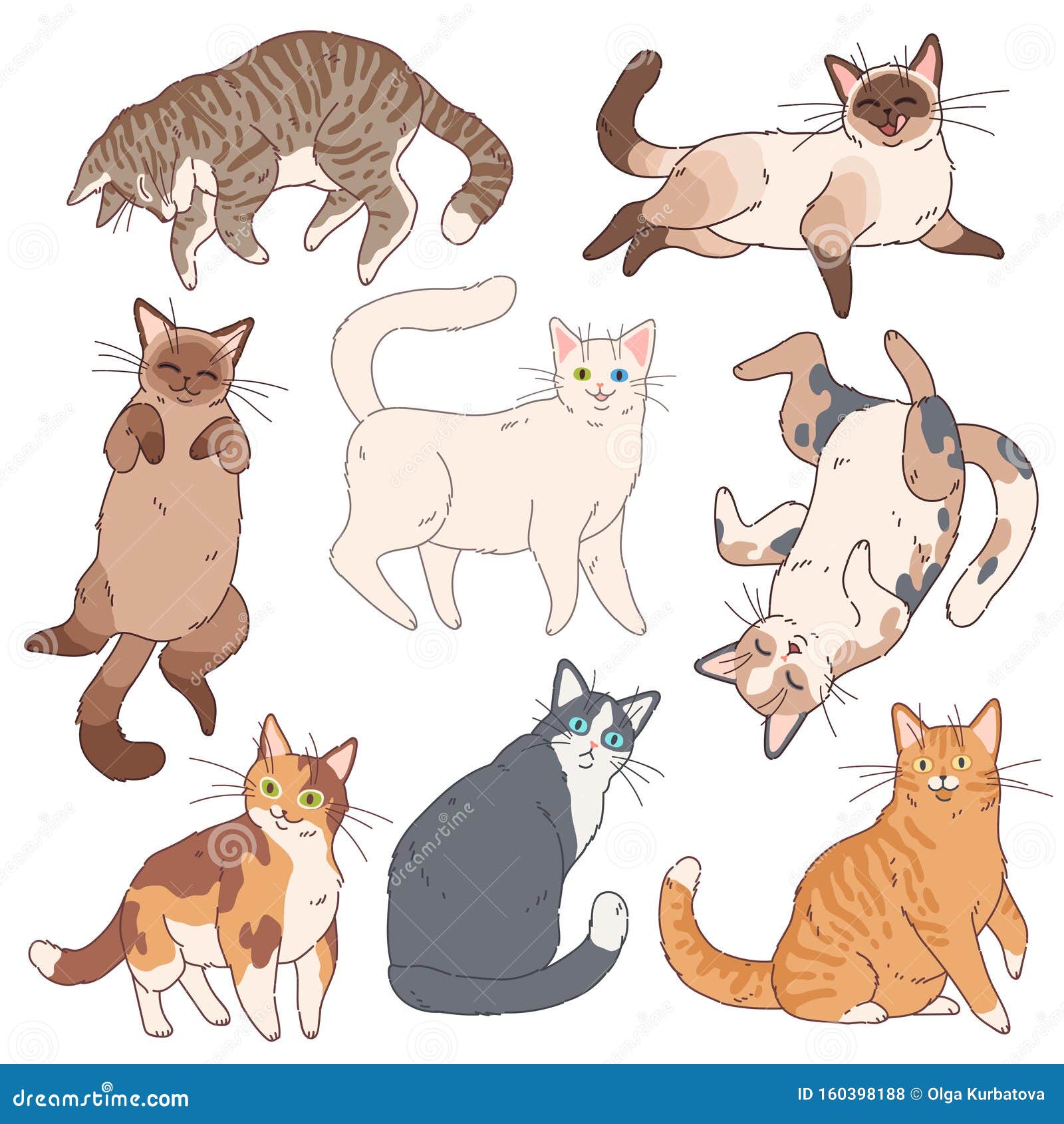 Diferentes raças de gatos, bonito animal de estimação, diferentes gatos em  estilo simples de desenho animado.