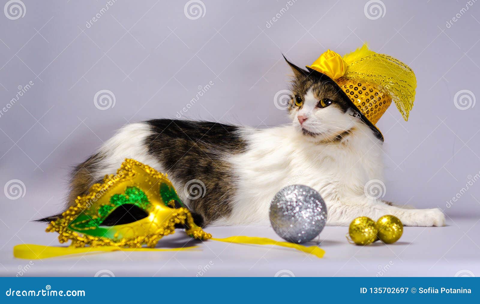 Gatto Cattivo in Un Cappello Giallo Di Carnevale Con Gli Zecchini