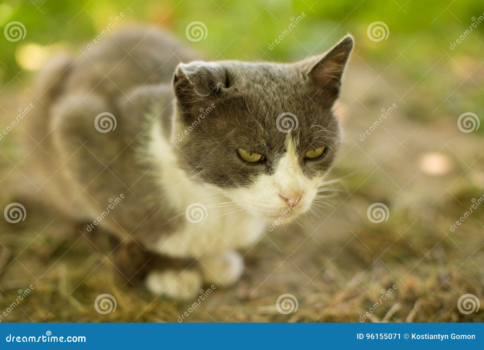 CAMERE DA LETTO - Arredamenti Casali - Foto 8