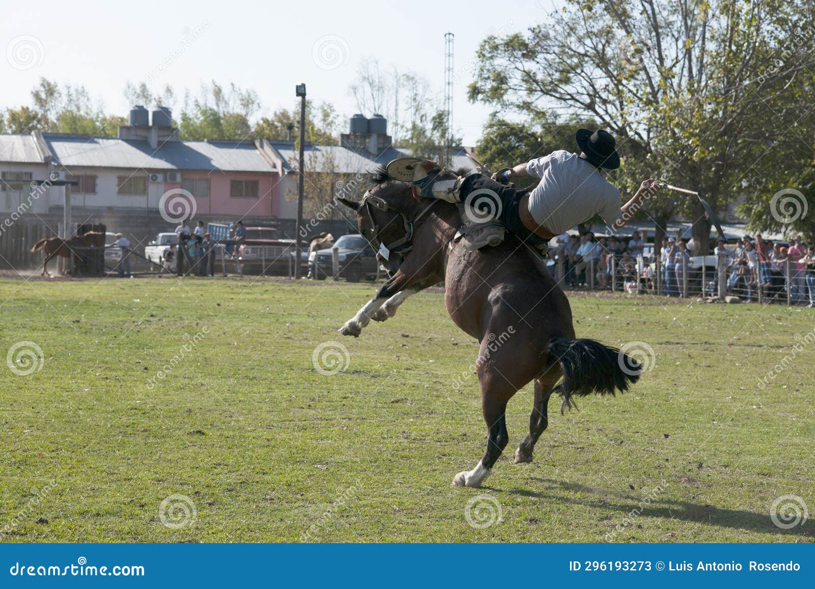 gaucho cowboy vaquero at a rodeo riding a horse at a show in argentina
