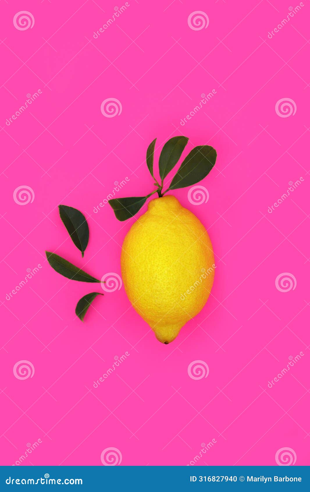 gaudy summer lemon citrus fruit 