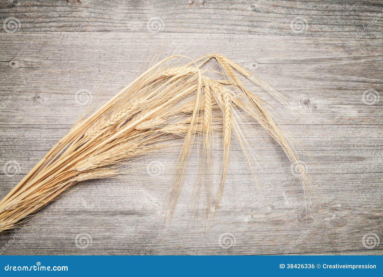 Gavilla de cebada foto de archivo. Imagen de arbusto 38426336