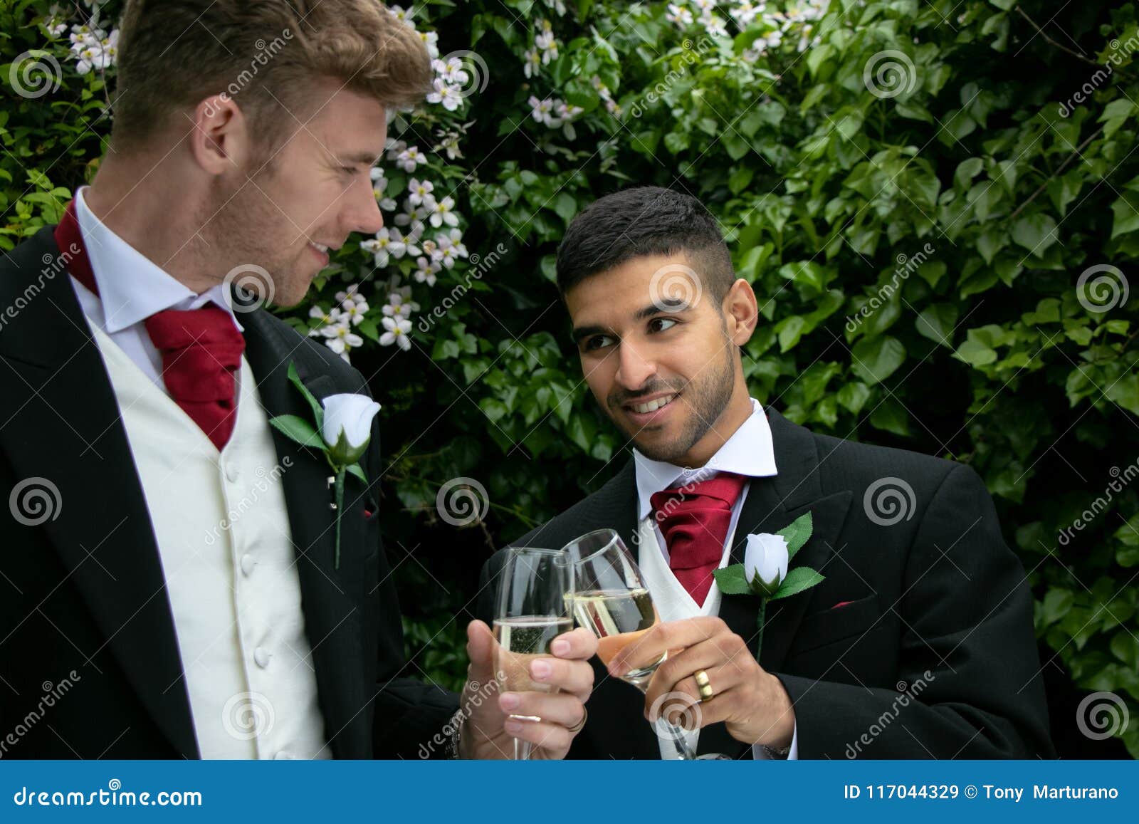 gay couple wedding reception toast being married two men grooms wearing morning suits pose photographs their 117044329