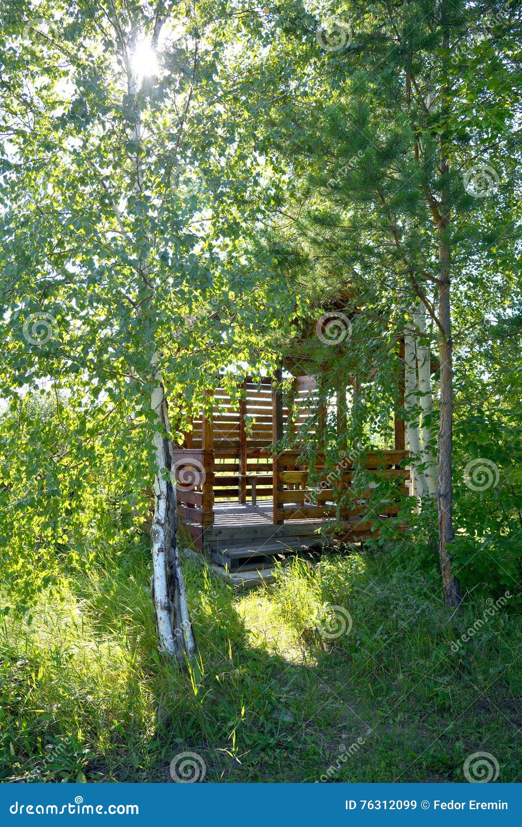 Gazebo entre los árboles verdes. Gazebo de madera rodeado por los árboles verdes en el primero plano del abedul y del pino los rayos del sol hacen su manera a través del follaje