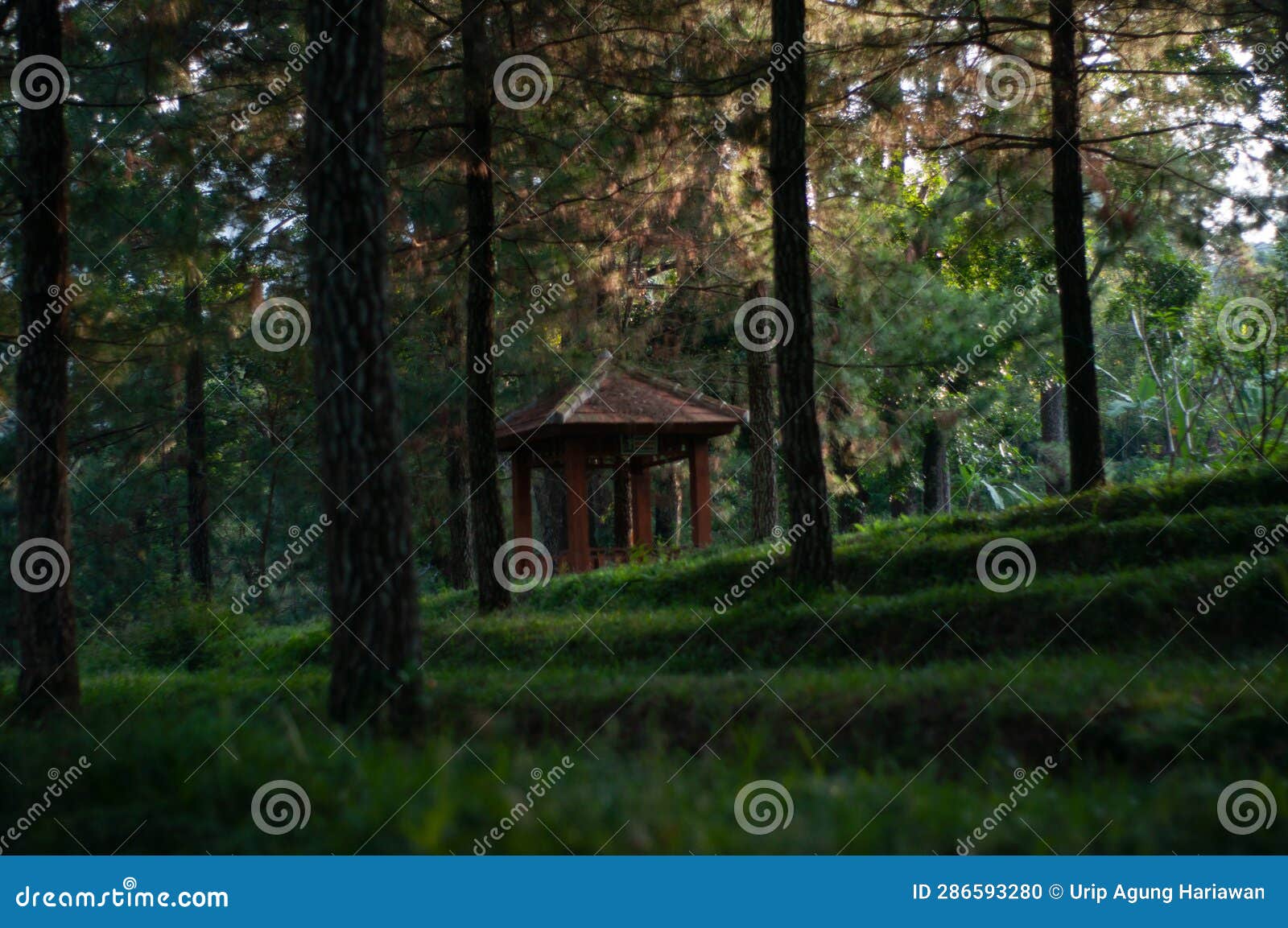 Gazebo in a Garden, Sharp, High Definition Stock Photo Image of sharp