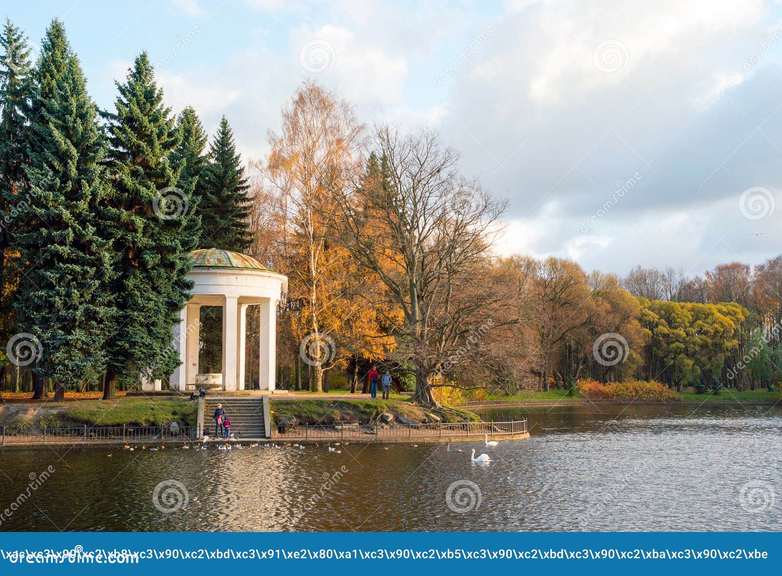 Gazebo-rotunda on the Banks of the Swan Pond in the Autumn. Editorial ...
