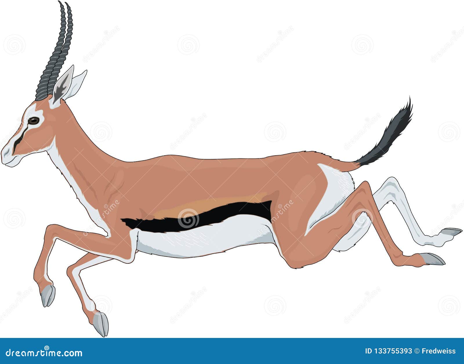 Gazelle Running Illustration Stock Vector - Illustration of life, animal:  133755393