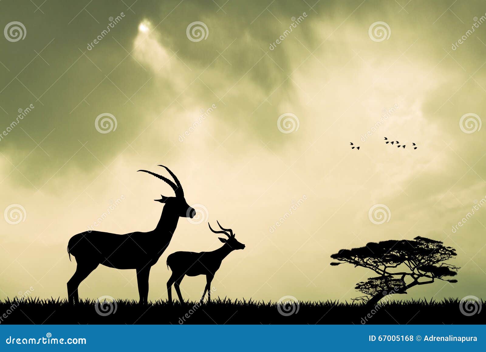 Gazelle Silhouette at Sunset Stock Illustration Illustration of