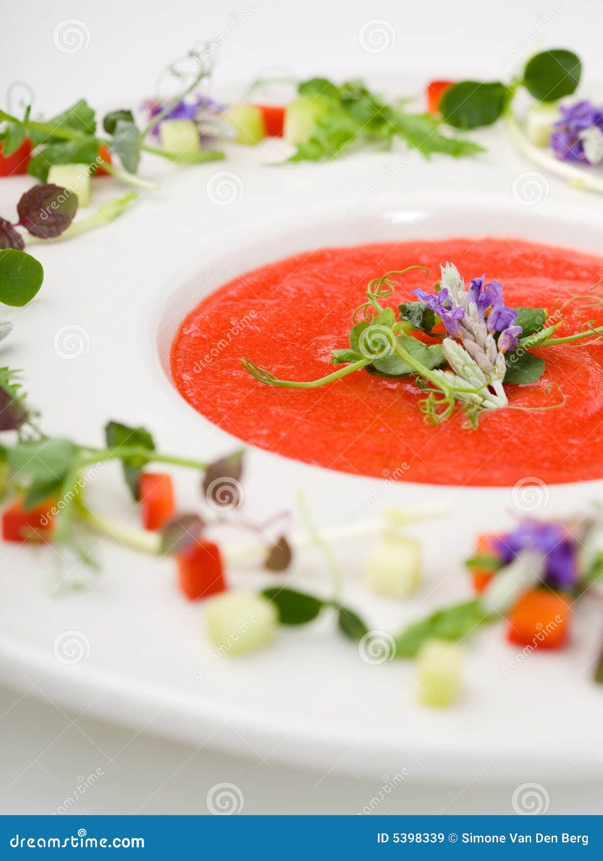 Gazpacho soup stock image. Image of meal, food, chef, salt 5398339
