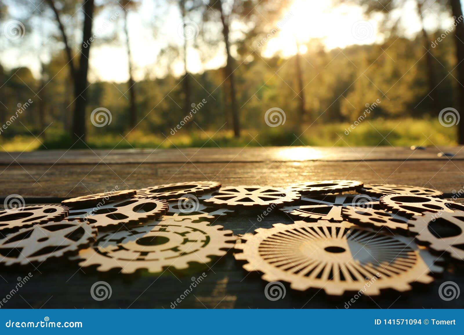 gears in front of a setting sun. concept of a new idea, learning and creative though