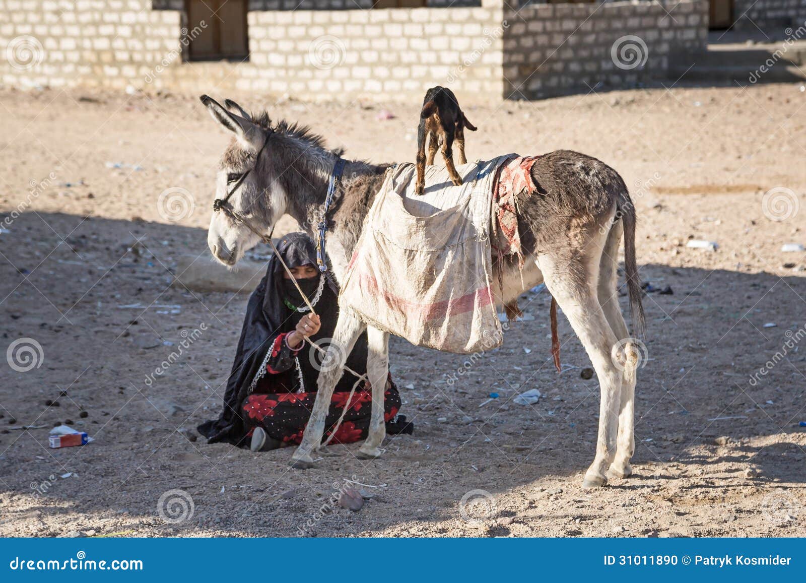 Geburtige Arabische Frau Mit Esel Und Ziege Redaktionelles Bild Bild Von Arabische Ziege