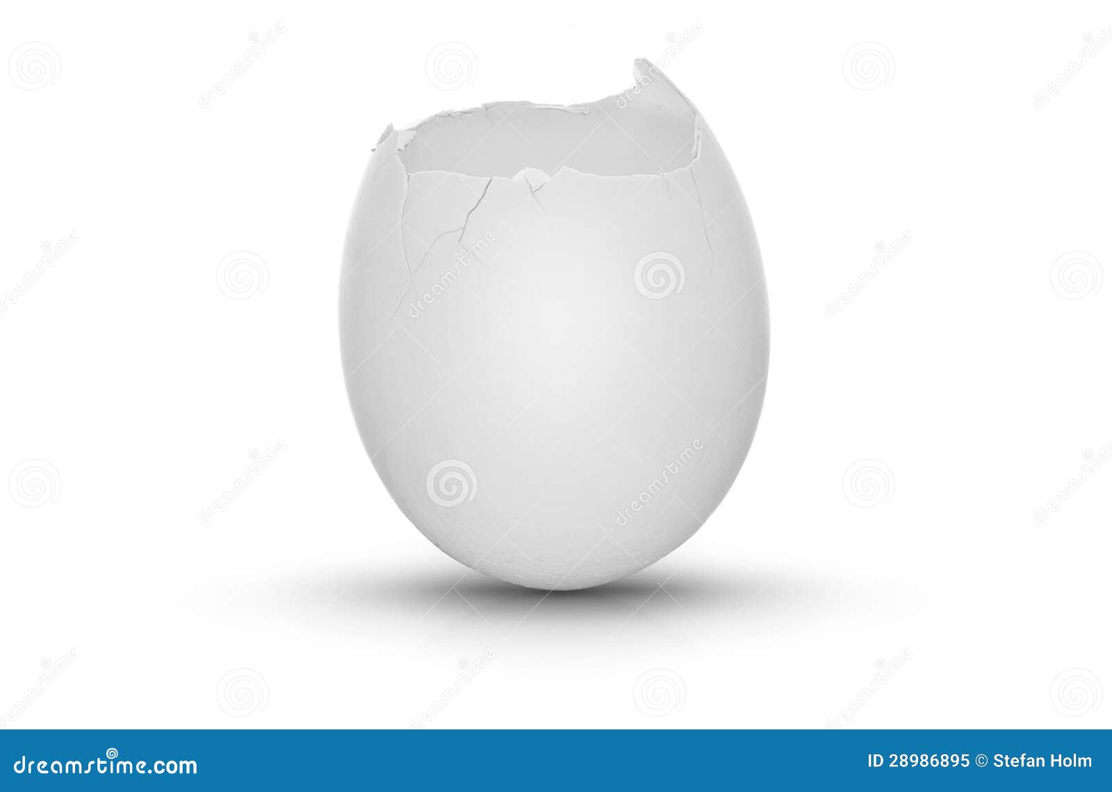 Gebrochenes Ei Auf Weissem Hintergrund Mit Schatten Stock Abbildung Illustration Von Brach Nahaufnahme 28986895