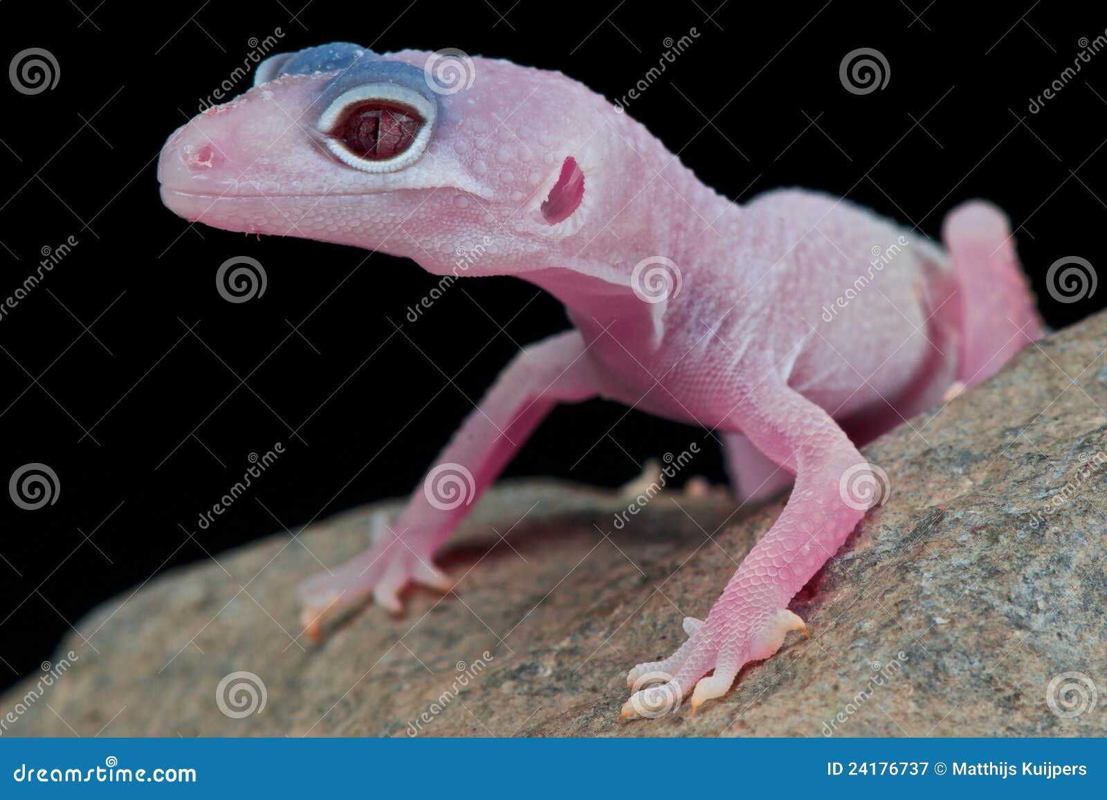 Diablo Blanco Stock Photos Free & RoyaltyFree Stock Photos from