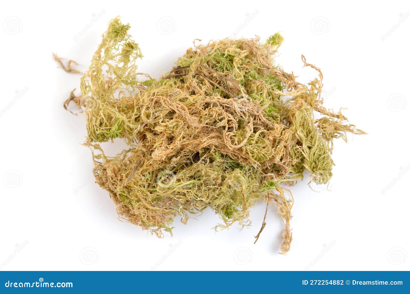 Gedroogde Fagnum - of Ssphagnum Moss , Ook Moss Van Bog En Quacker Moss ...