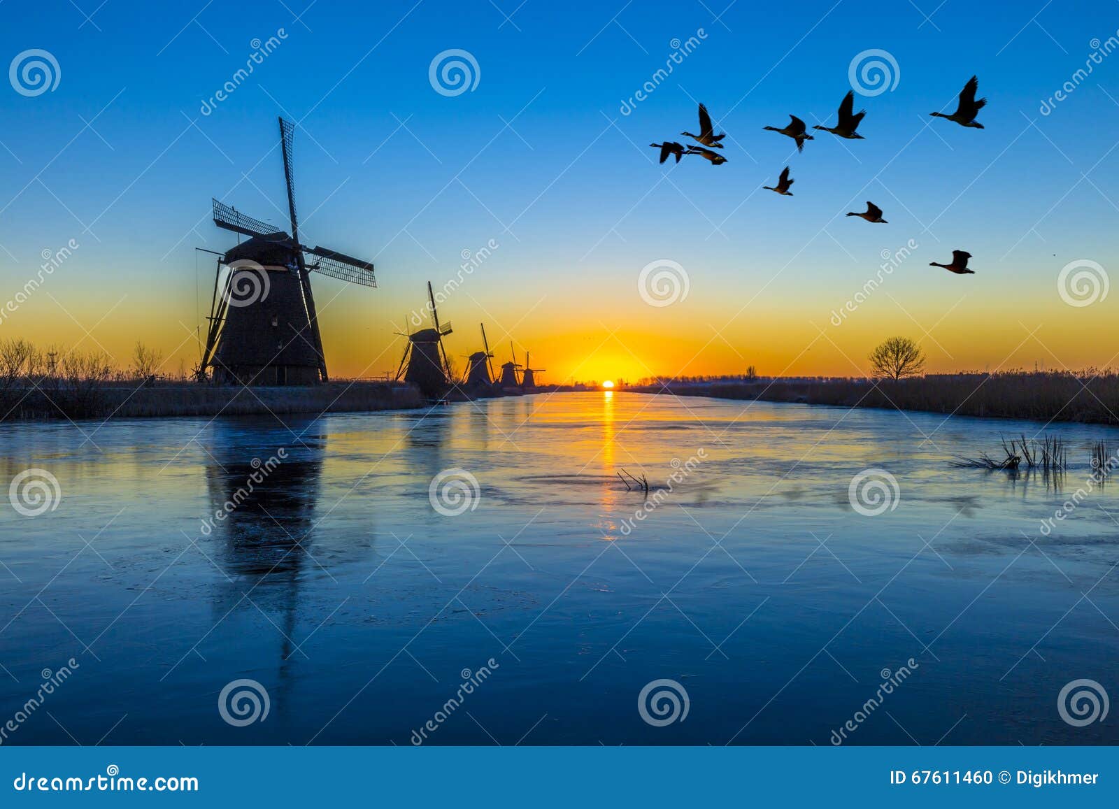 kinderdijk - geese flying over sunrise on the frozen windmills alignment