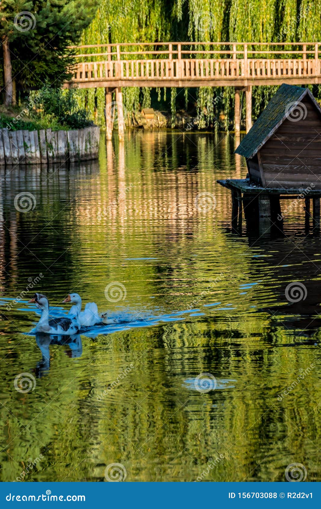 2 457 Goose House Photos Free Royalty Free Stock Photos From Dreamstime 2 457 Goose House Photos Free Royalty Free Stock Photos From Dreamstime