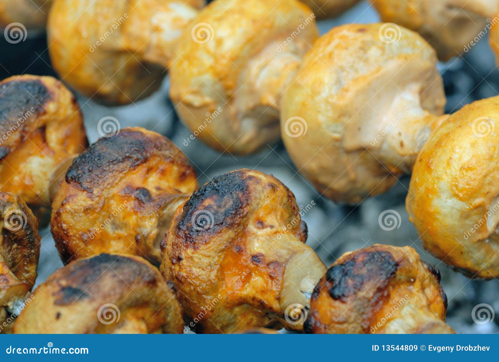 Gegrillte Pilze stockbild. Bild von picknick, pilz, gesund - 13544809