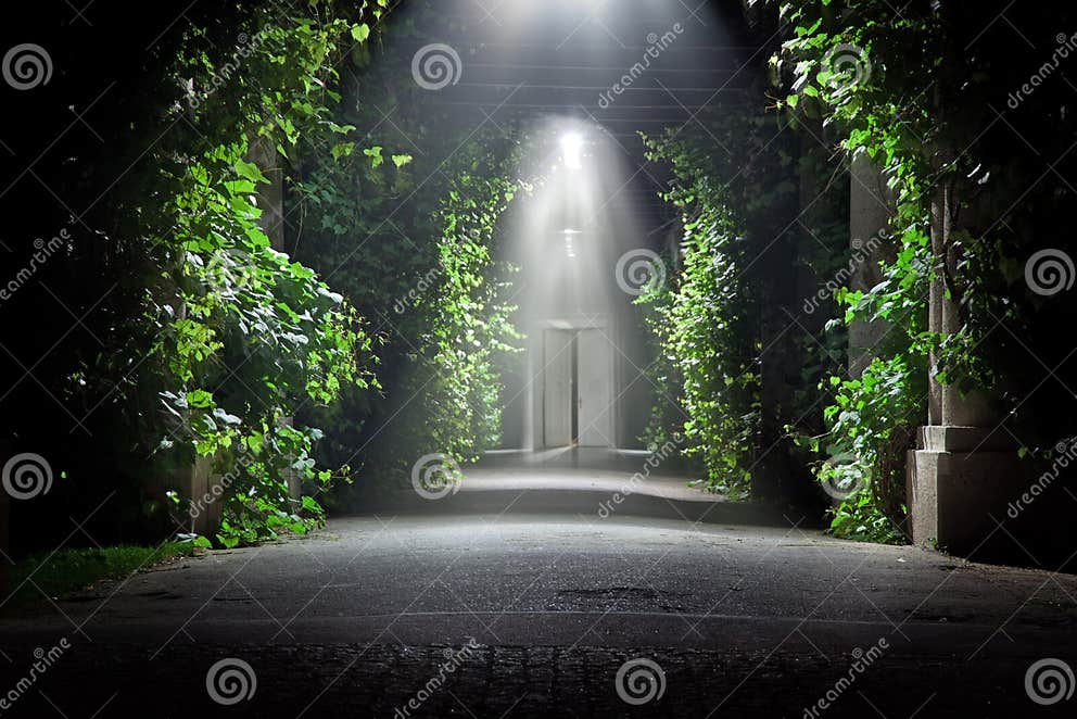 Geheimnisvoller Garten stockfoto. Bild von ziegelstein 20165018