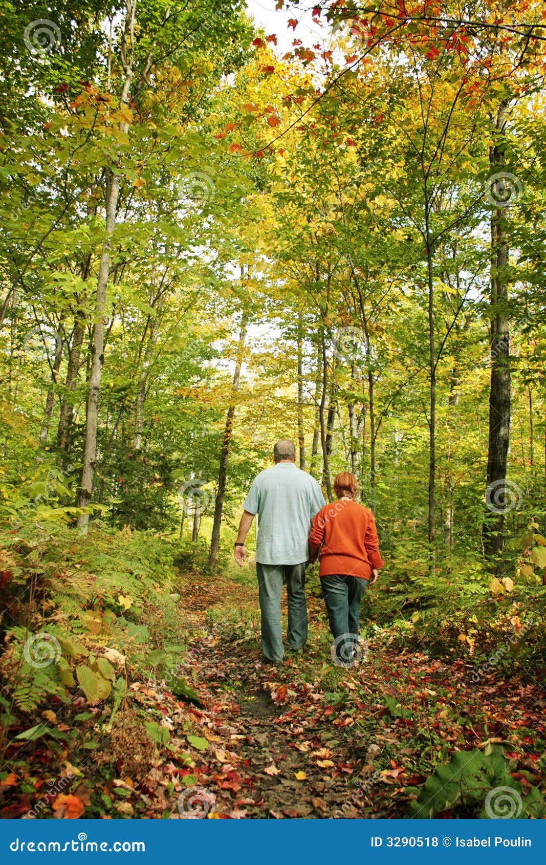 Gehen in Natur. Verbinden Sie das Gehen in einen Pfad in einem bunten Wald während des Herbstes