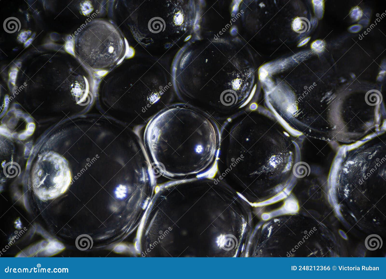 Gel De Silice Pour La Maîtrise De L'humidité Particules Absorbantes Sous  Microscope Léger Photo stock - Image du adsorption, granules: 248212366