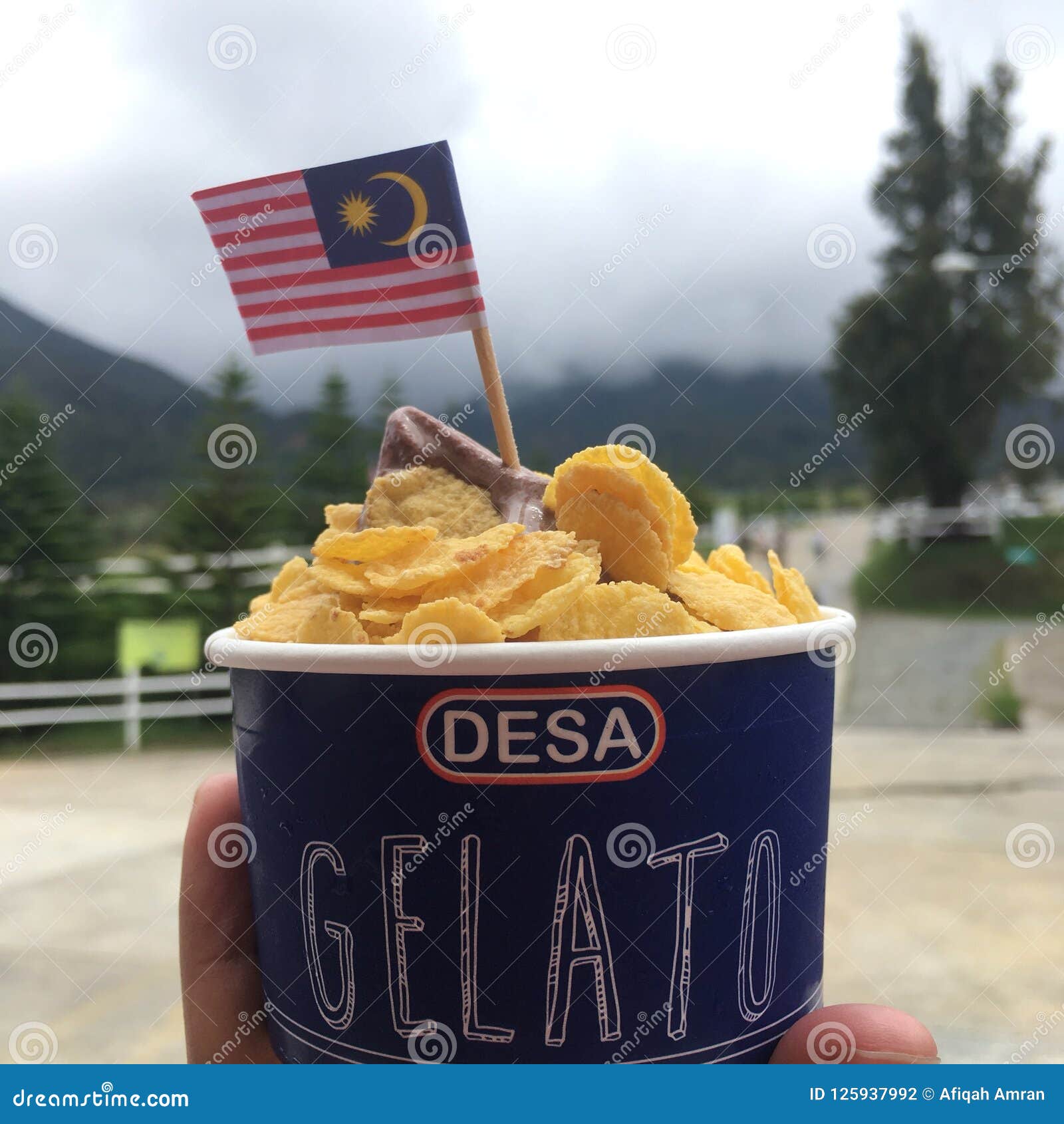 Gelato Desa Cattle Dairy Farm Editorial Photography Image Of Product Sabah 125937992