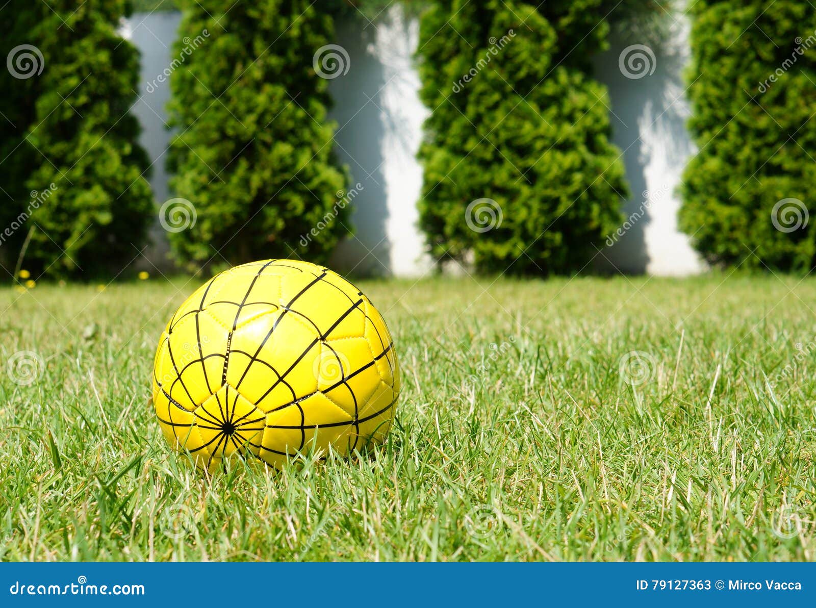 Gelber Ball stockbild. Bild von gras, grün, gelb, rund - 79127363