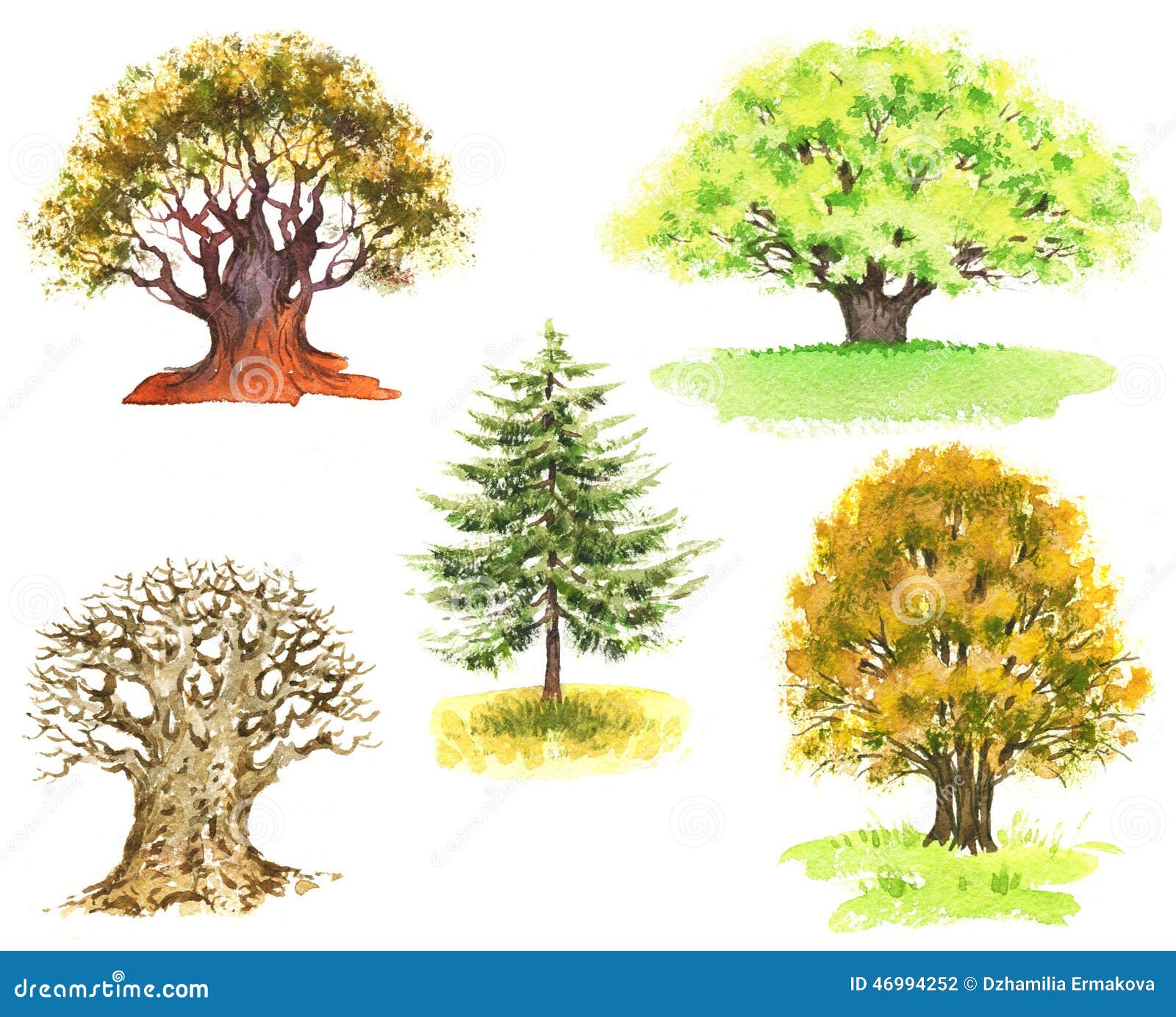 Gemalte Bäume stock abbildung. Illustration von baumstamm - 46994252