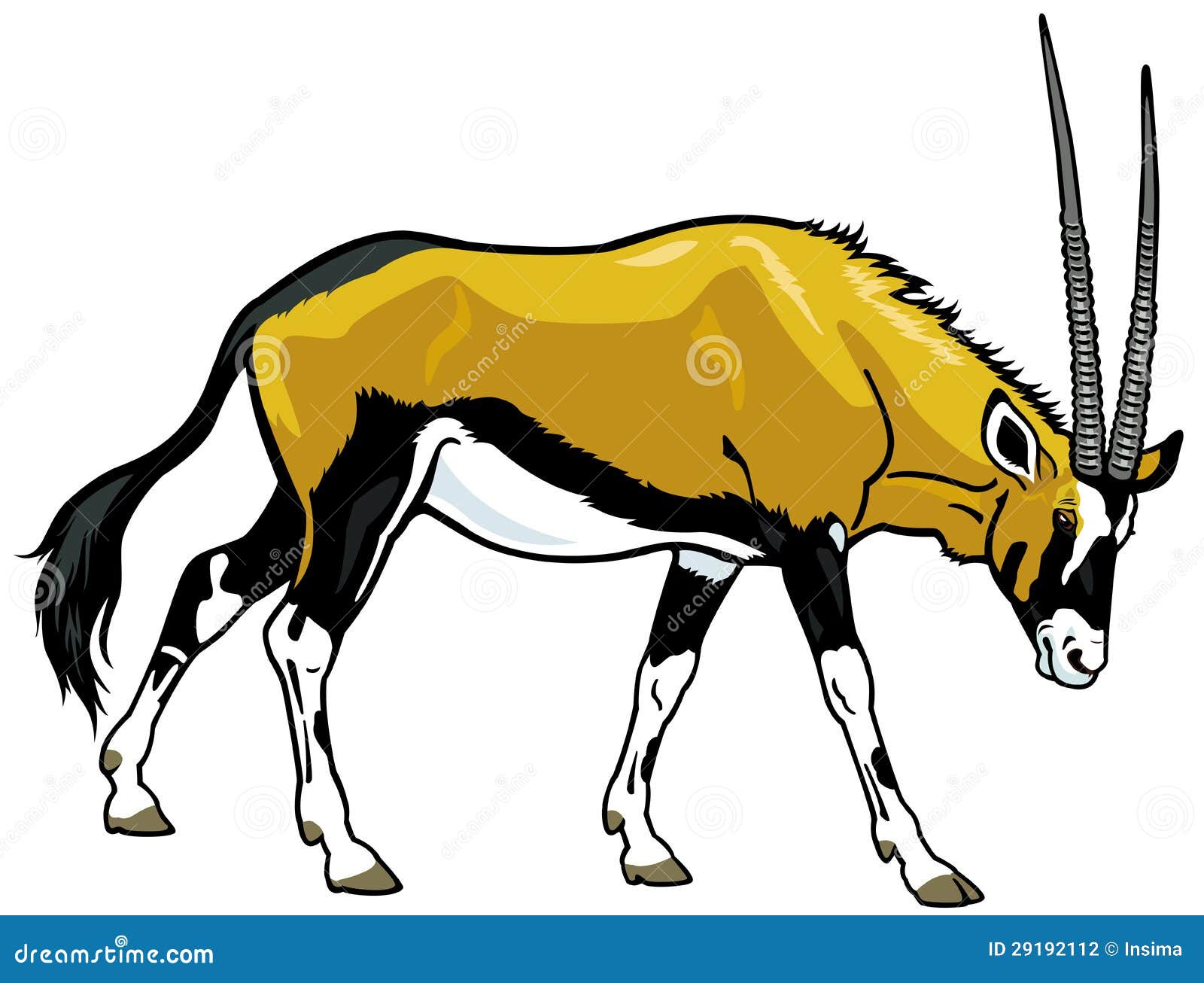 gemsbok