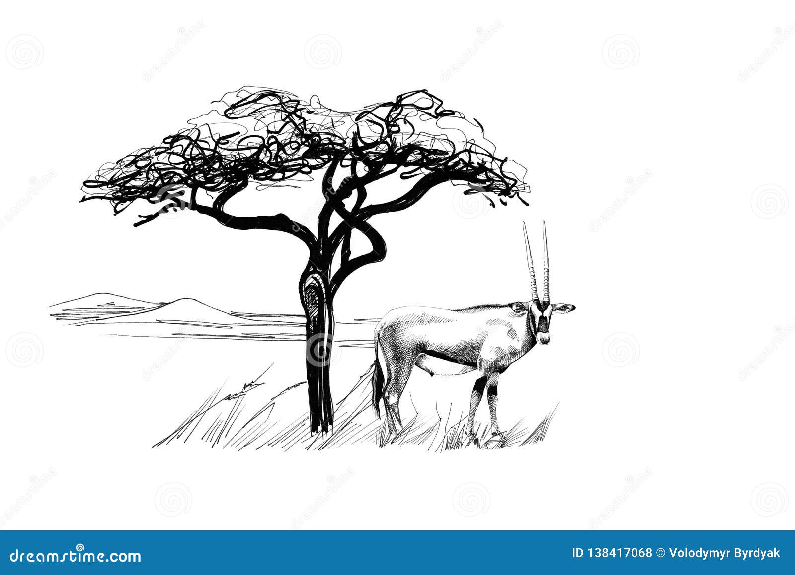 gemsbok antelope oryx gazella near a tree in africa. hand drawn 