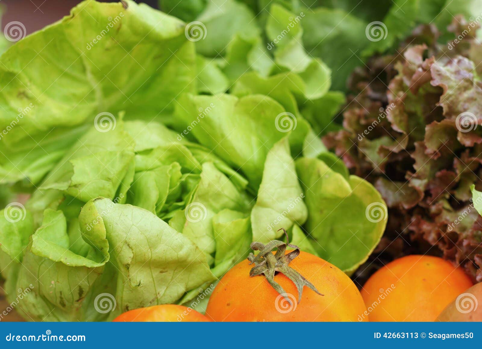 Gemüse Salat und Tomate im Korb