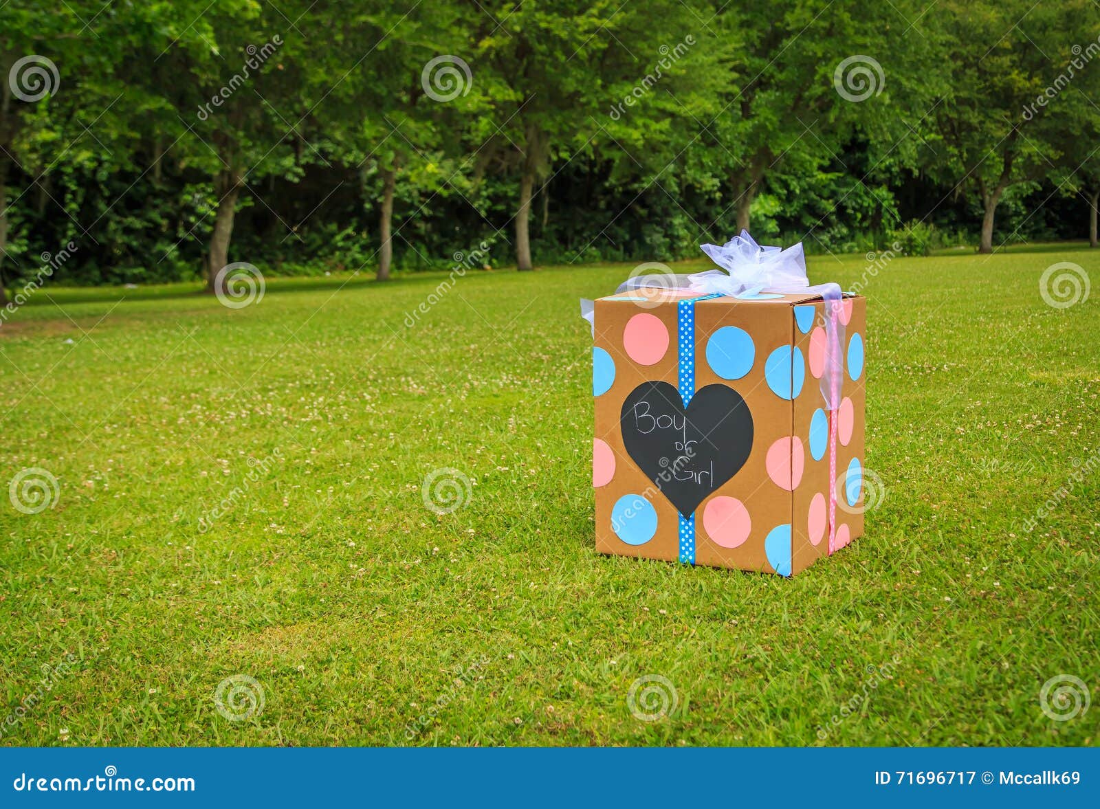 gender reveal party box