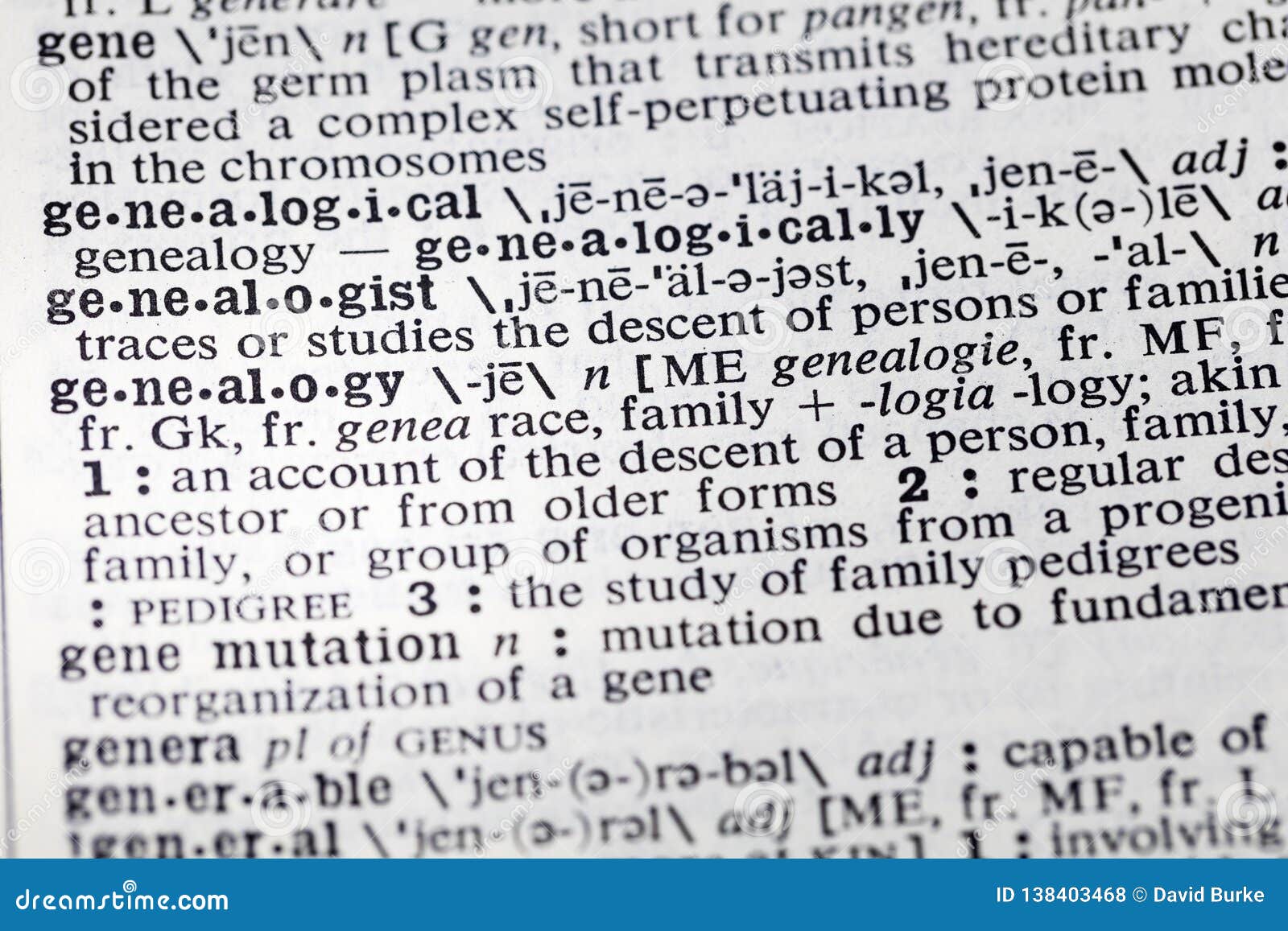 genealogy genealogist gene family descent definition mutation