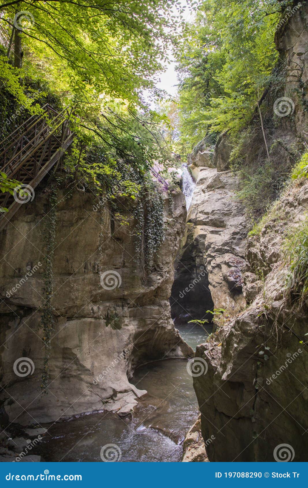 general front view of samandere waterfall plashing from high rocks surrounded by forest