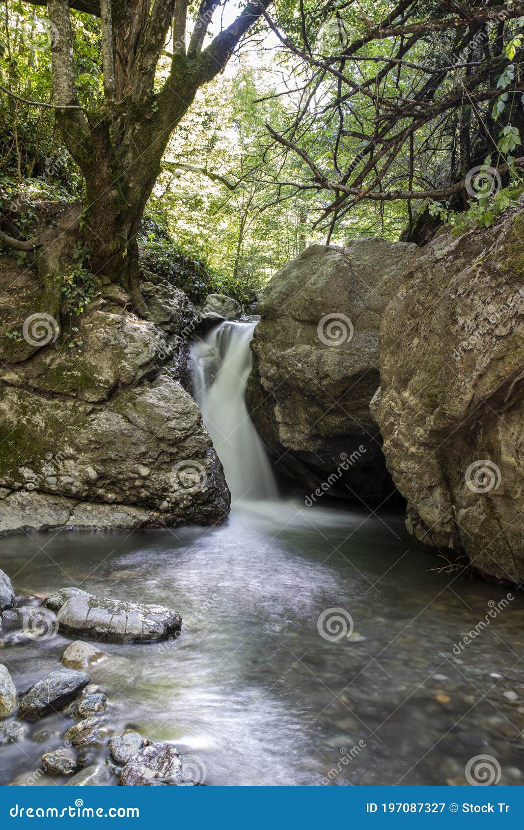 general front view of samandere waterfall plashing from high rocks surrounded by forest