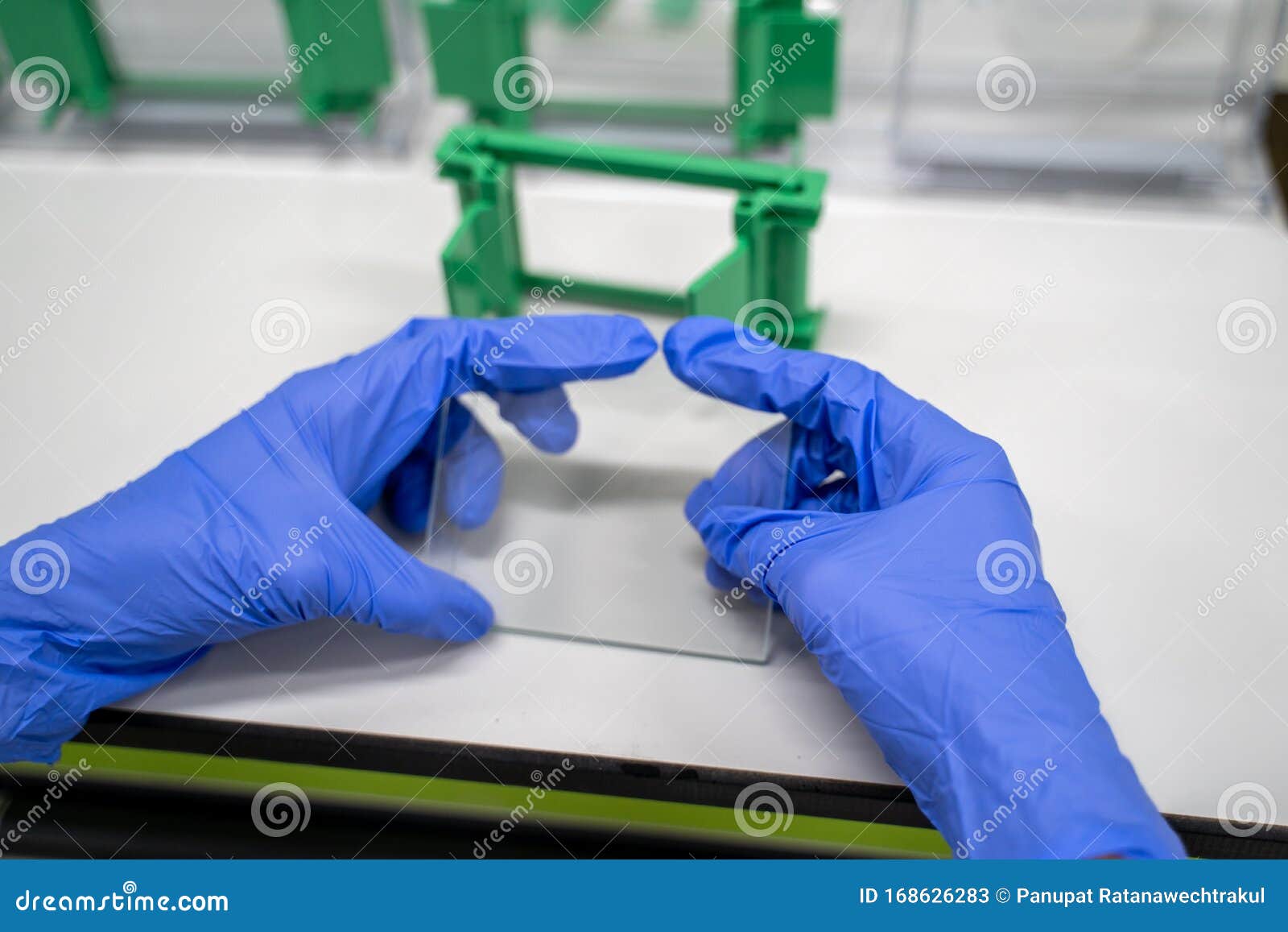 the general process preparation for protein levels detection is using western blot analysis. this method is involved in protein