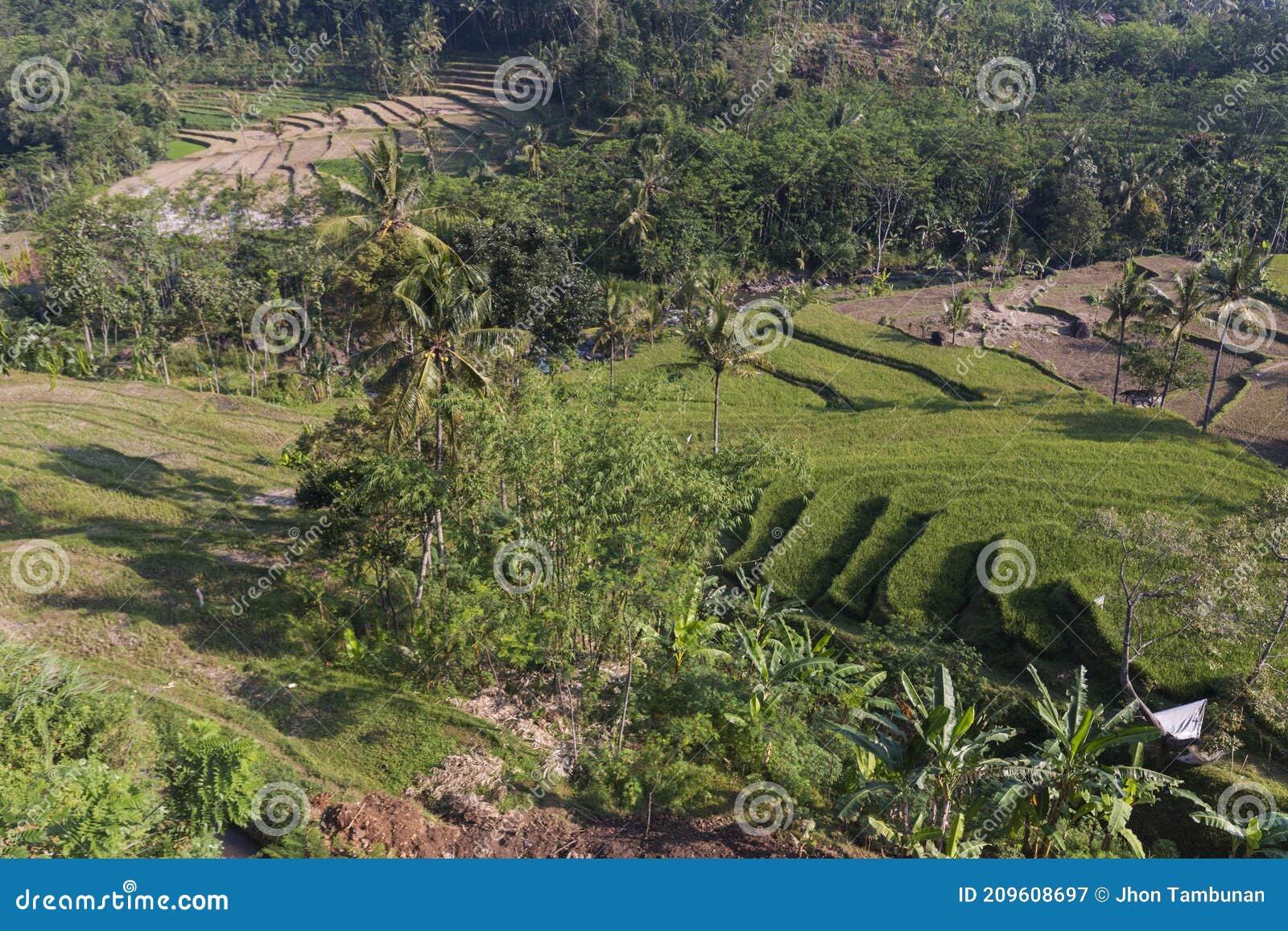 rice fields in the highlands of rembangan.