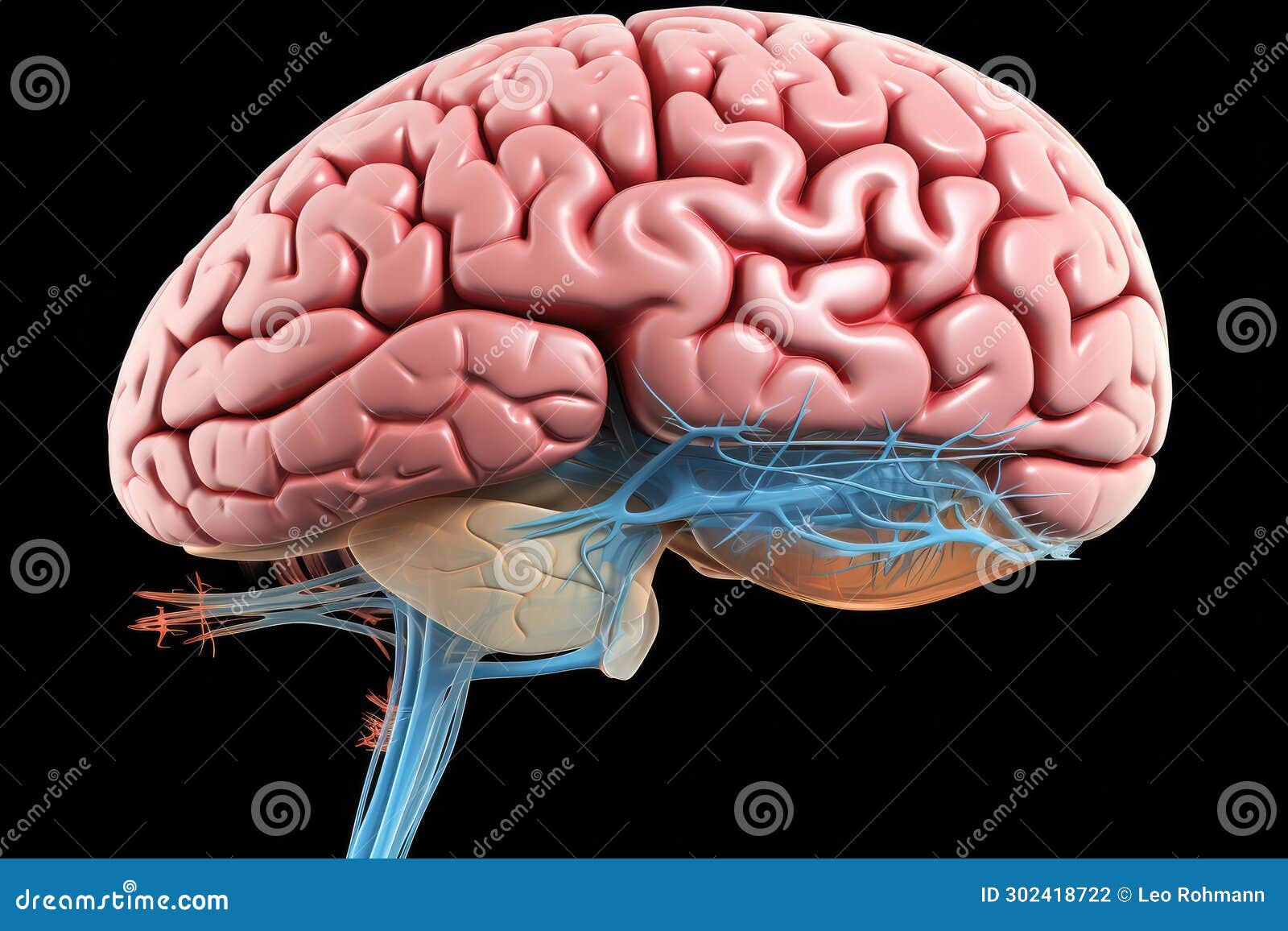 fractal motley light brain grafic, cognitive skills, brain neurons nerve synapses, learning habit, mindset knowledge accumulation