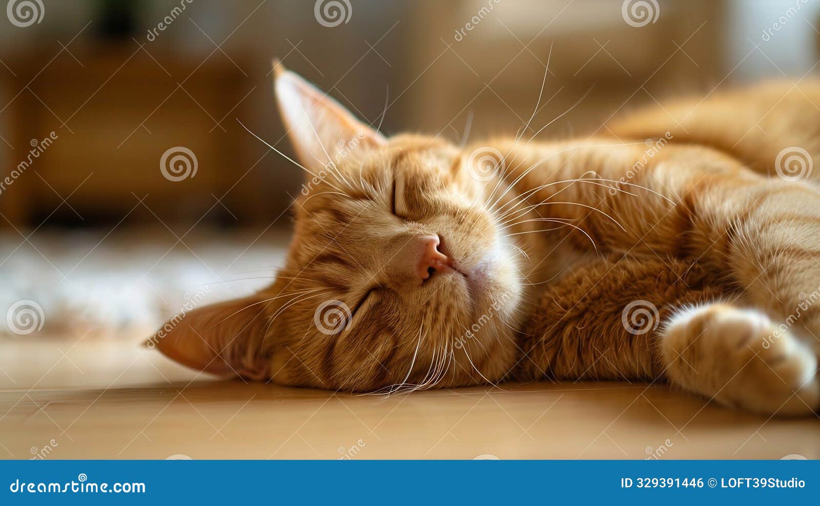 generative ai ginger cat sleeps on floor in living roomorange persian cat lying down and relaxing at homeclose upc
