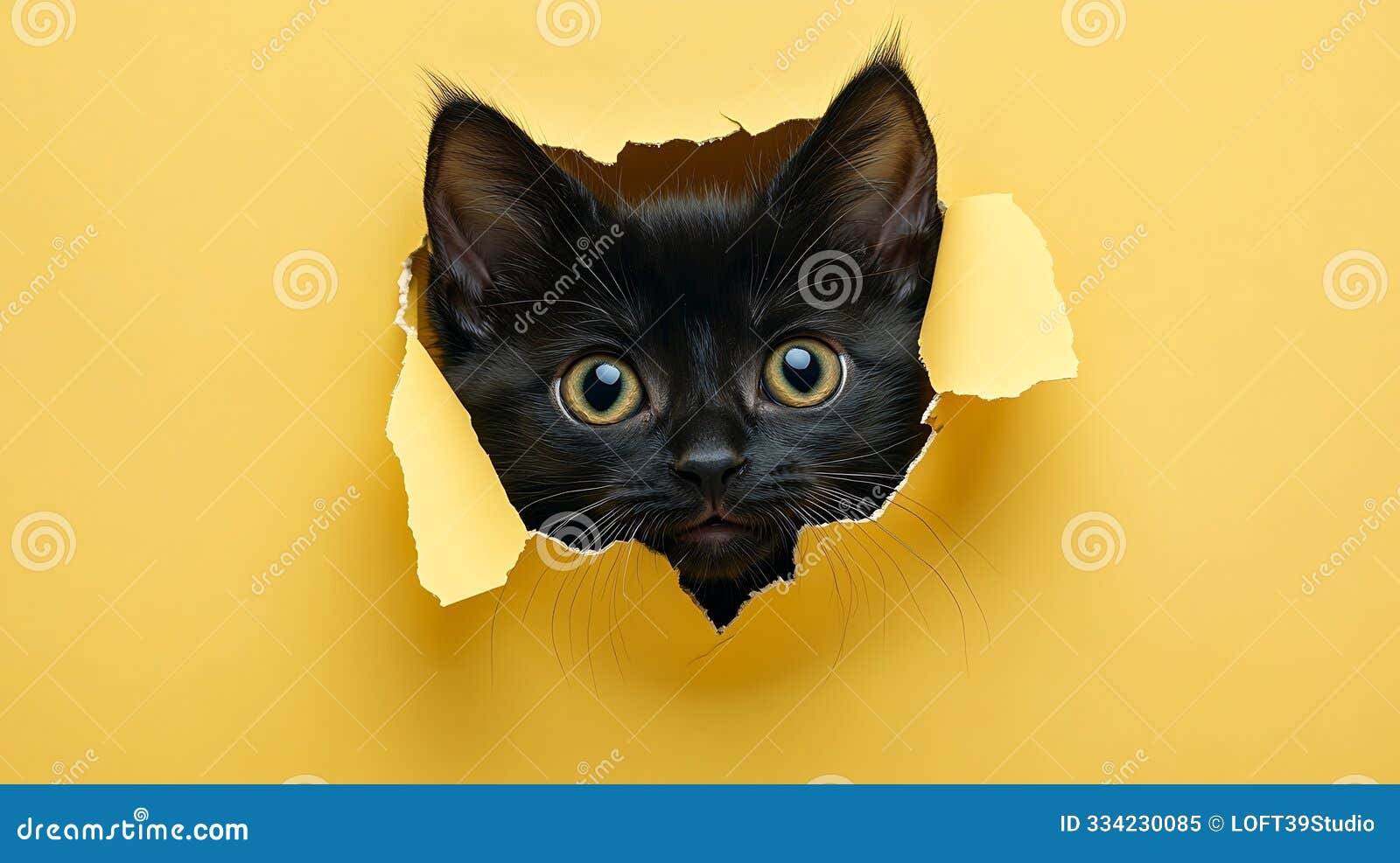 generative ai muzzle of a black tabby kitten looks through ripped hole in yellow paper naughty pets and mischievou