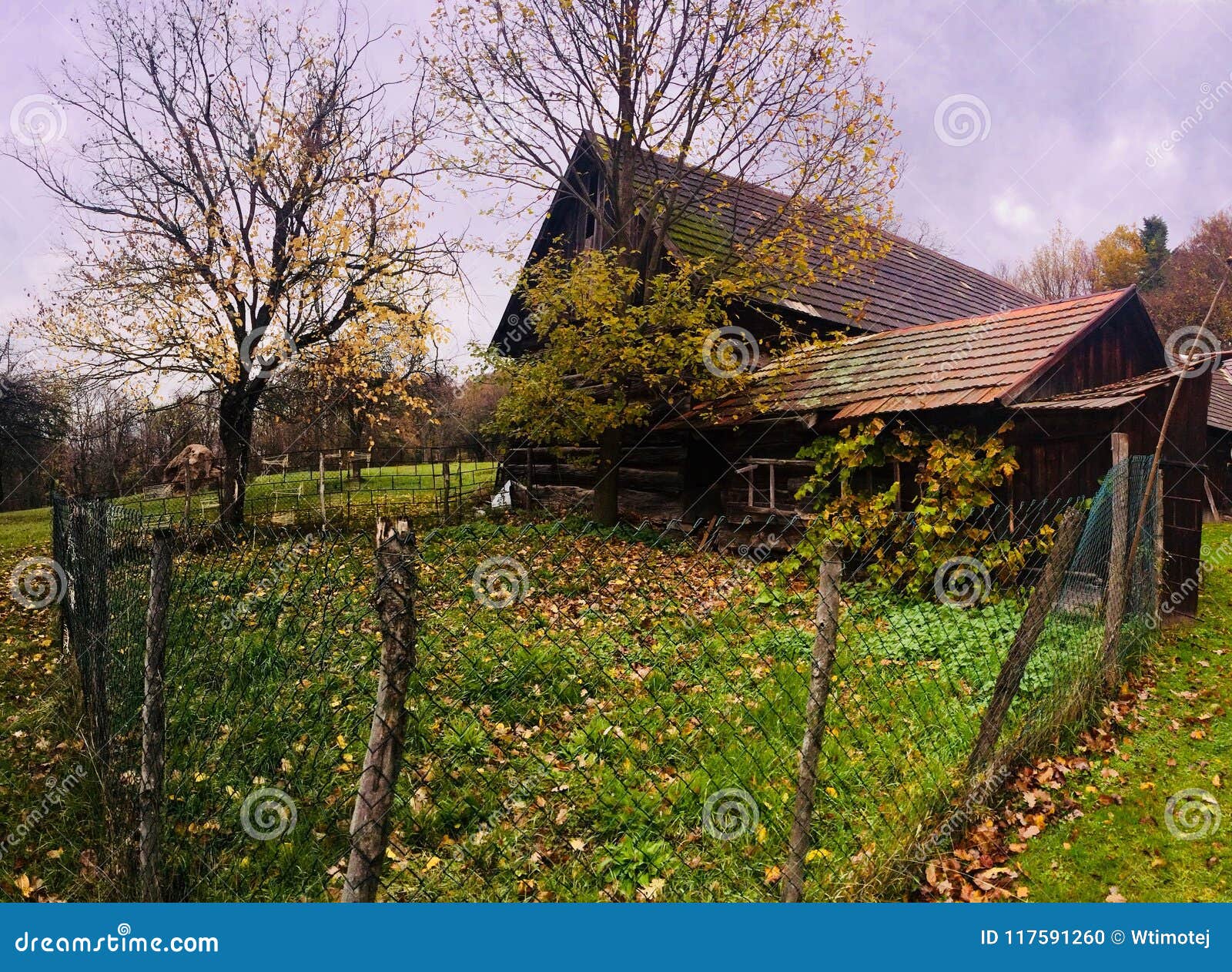 generic architecture in slovakia.