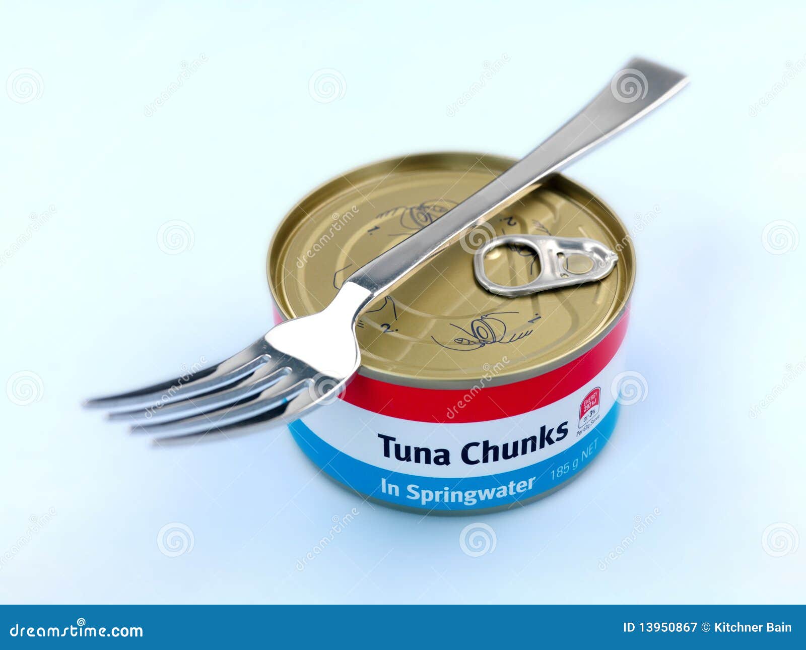 Generic Canned Tuna stock image. Image of tinned, tuna 13950867