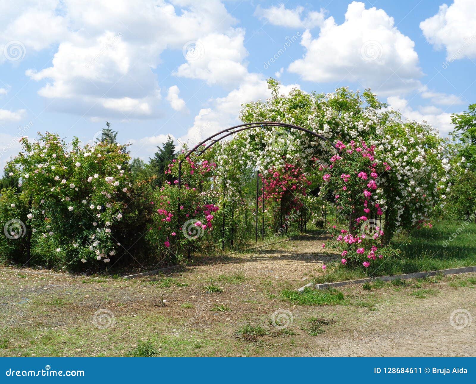 Generic Vegetation Eutopia Garden Arad Romania Stock Image