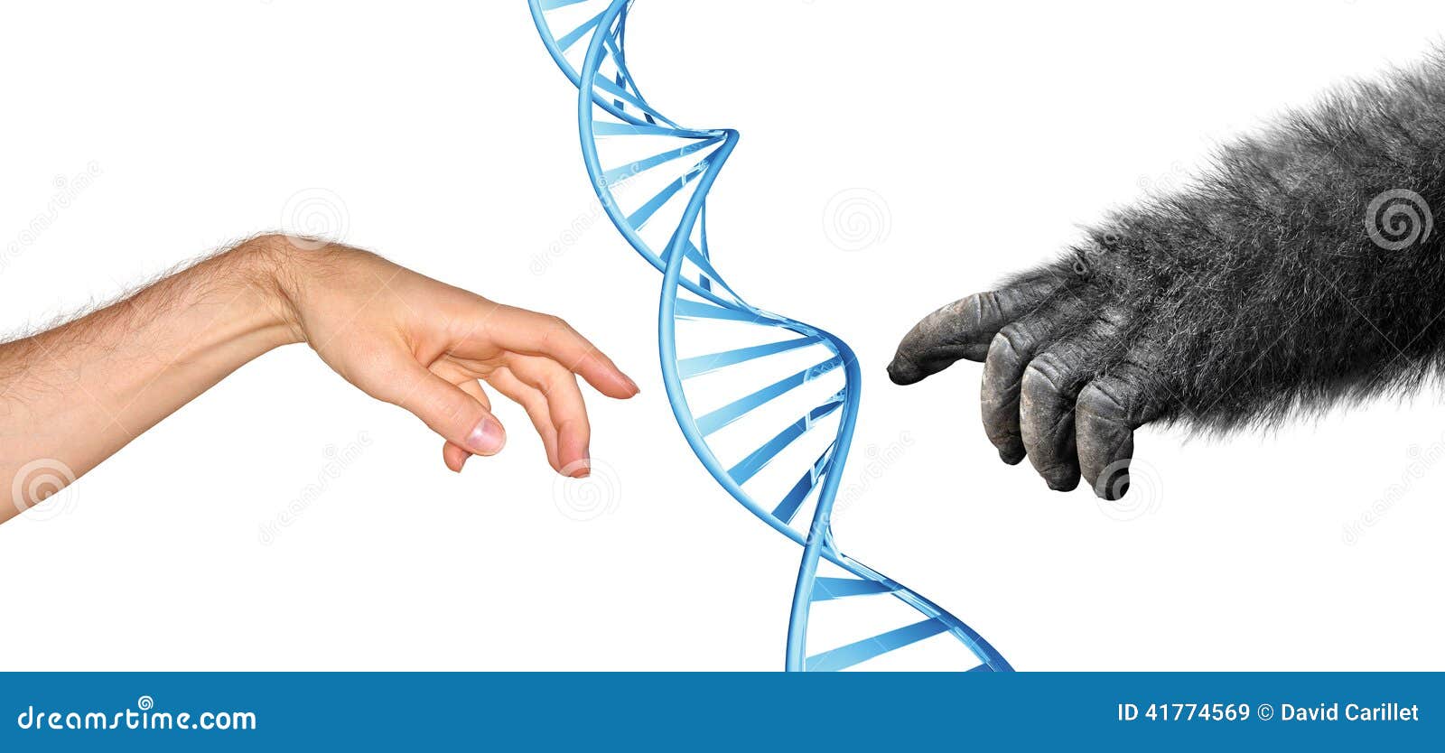 an introduction to polysaccharide biotechnology